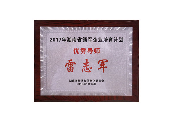 2017年湖南省領(lǐng)軍企業(yè)培育計(jì)劃優(yōu)秀導(dǎo)師“雷志軍”牌匾