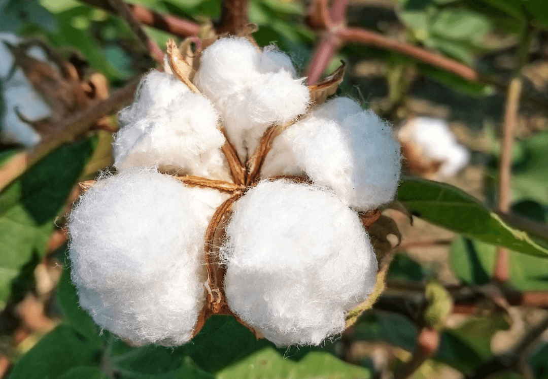 紡織服飾行業(yè)分析